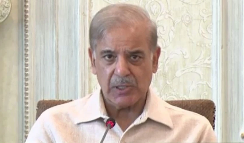 PM Shehbaz Sharif urges global agencies to help Pakistan