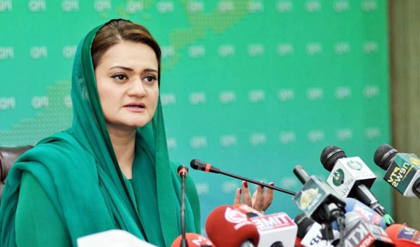 Nawaz Sharif, Shehbaz Sharif constitute Punjab, KP parliamentary boards: Marriyum