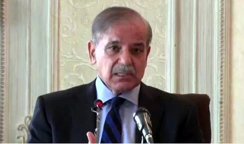 Nation stands behind armed forces to defeat anti-Pakistan elements: PM Shehbaz Sharif