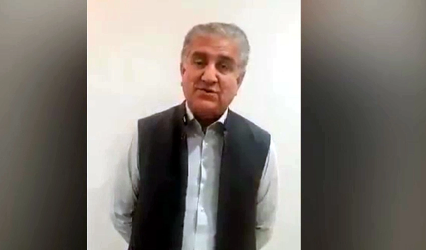 Qureshi vows to continue struggle till release of Imran Khan