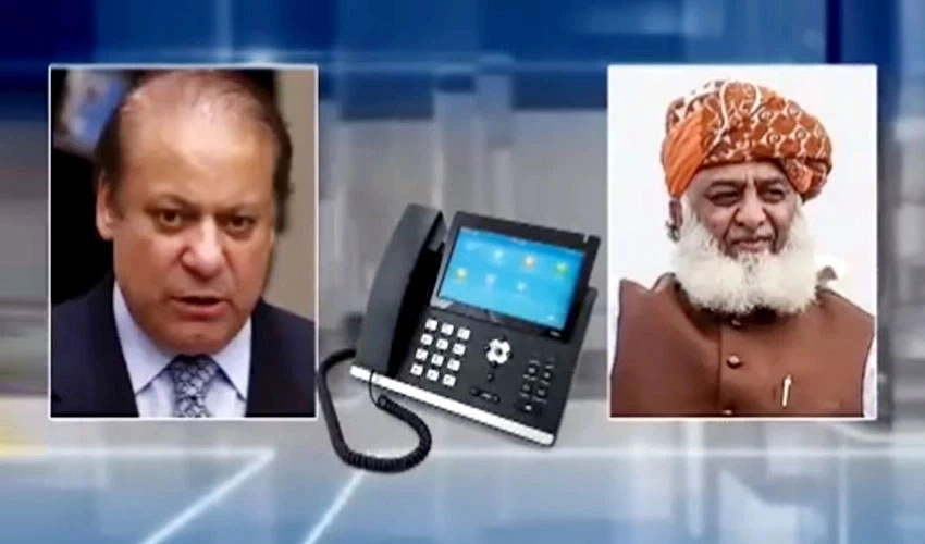 Nawaz Sharif takes Maulana Fazalur Rehman into confidence over meeting with Asif Zardari