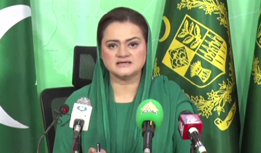 Interim PM to be appointed as per constitution: Marriyum