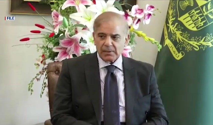 Pakistan rejects all unilateral, illegal Indian actions in IIOJK: PM Shehbaz Sharif