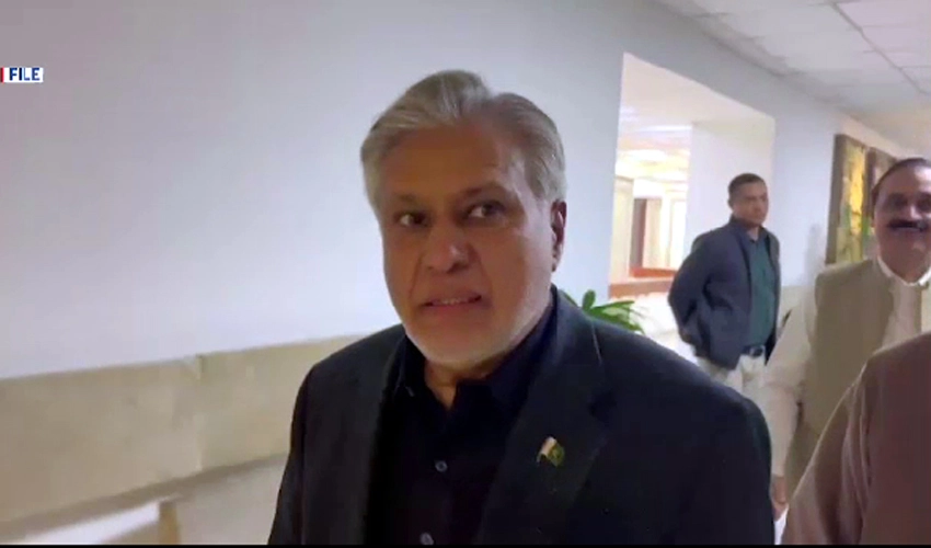 No problem with decision invalidating Review of Judgments & Orders Act 2023: Ishaq Dar