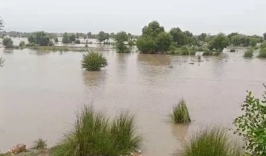 Flood in Sutlej River: Schools closed for indefinite period in Bahawalnagar