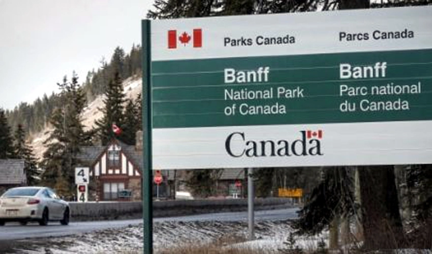 Couple killed in grizzly bear attack in Canada's Banff National Park