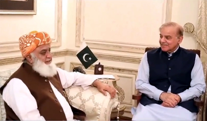 Shehbaz Sharif, Maulana Fazalur Rehman discuss general elections