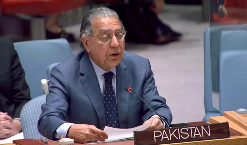 Like Israel in Palestine, India in Kashmir suppresses freedom struggle, Pakistan tells UNSC