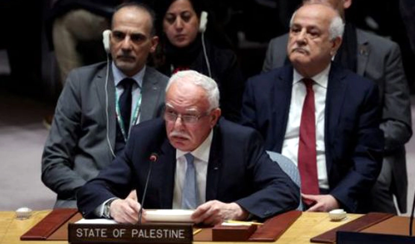 Palestine FM Riyad al-Maliki calls Israel offensive 'war of revenge'