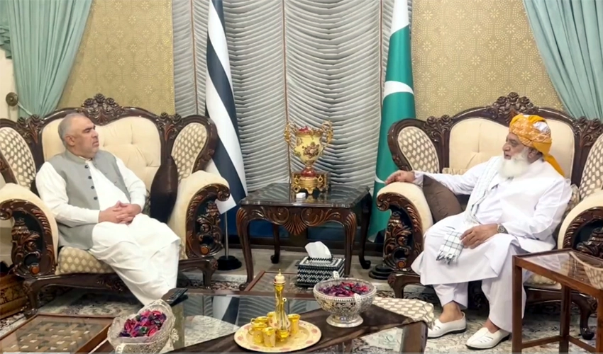 Maulana Fazalur Rehman, Asad Qaisar discuss political situation