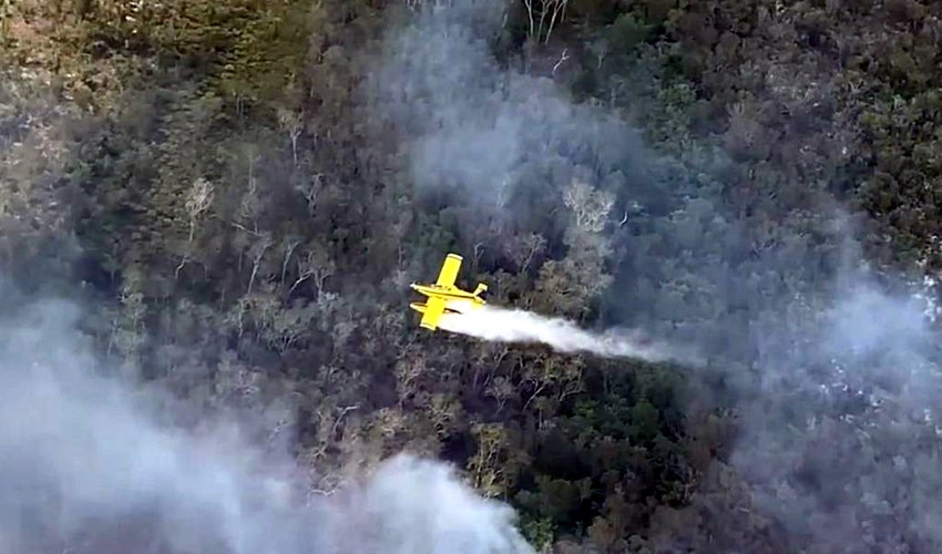 Three dead after plane crashes in Australia bushfire fight