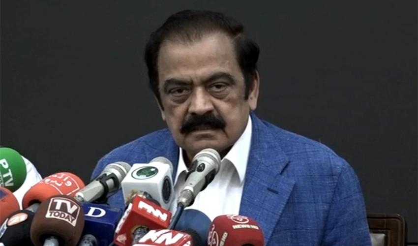 Rana Sanaullah demands level playing field for PML-N as well