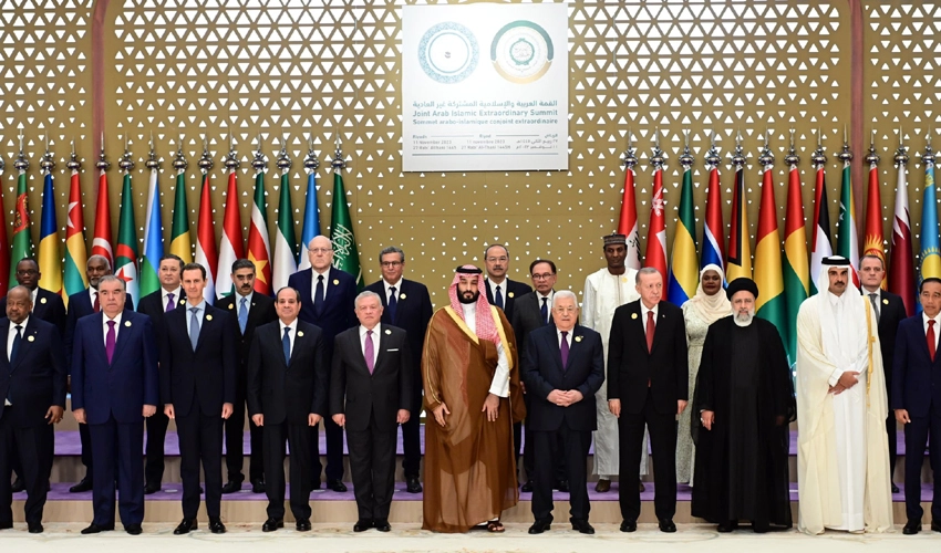 Only way to guarantee peace in region is to end siege, bloodshed in Gaza: OIC