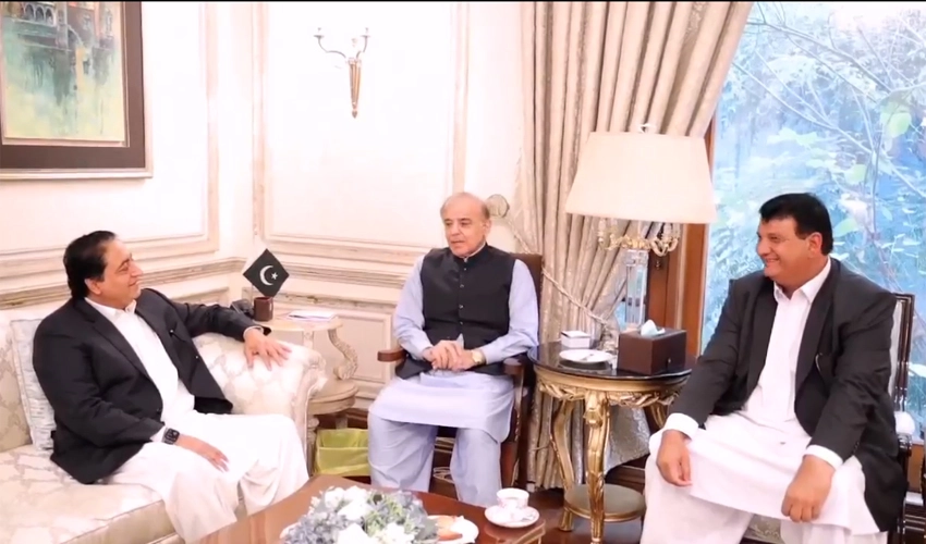 Shehbaz Sharif, Ameer Muqam exchange views on preparations for general elections