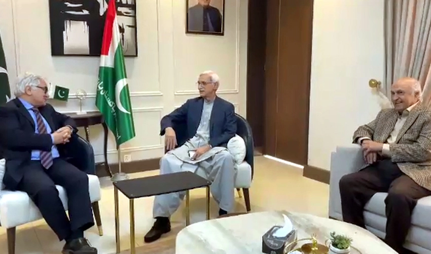 IPP patron-in-chief Jahangir Tareen, German envoy discuss political situation