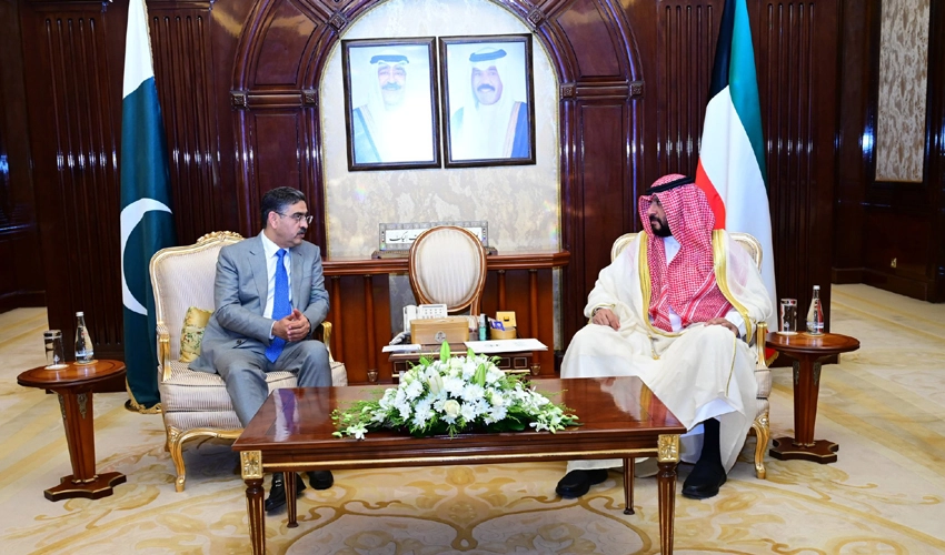 Caretaker PM, Kuwaiti First Deputy PM reaffirm to strengthen fraternal ties