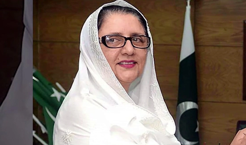 Cabinet recommended probe into £190 million scam, but PTI founder approved it: Zubaida Jalal