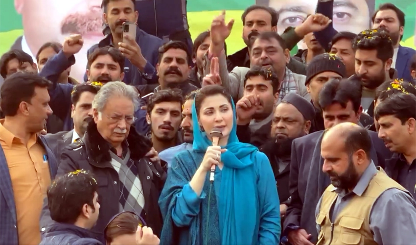 Inflation will reduce if 'lion' comes with a strong govt: Maryam Nawaz