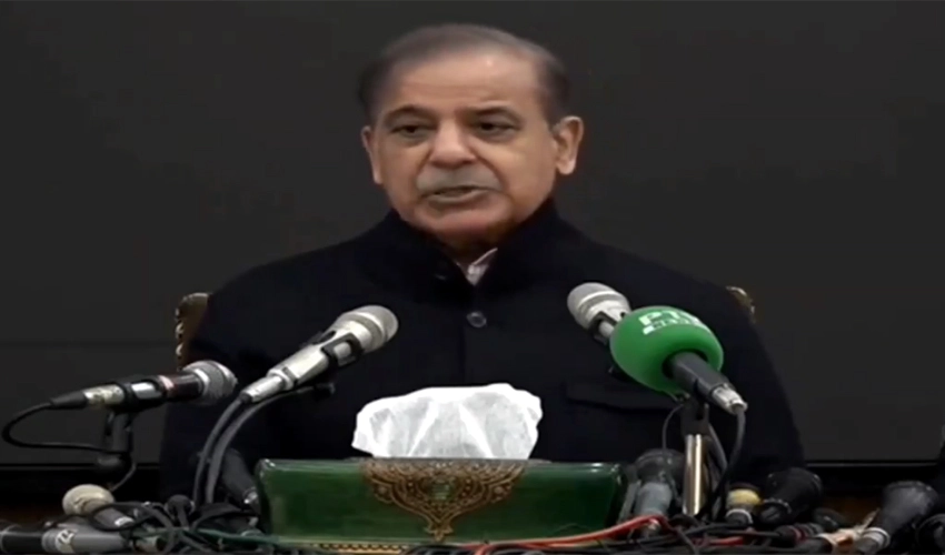 Shehbaz Sharif announces to accept if independent candidates show majority