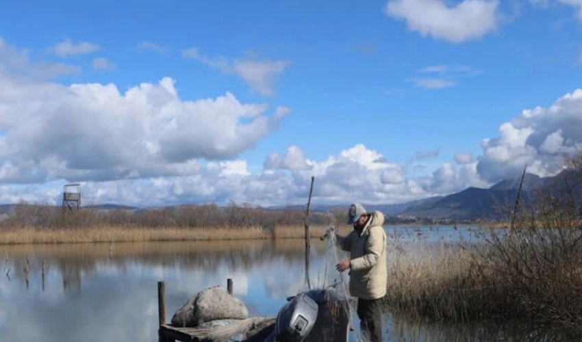 Rising temperatures upend migratory bird habitats in Albania