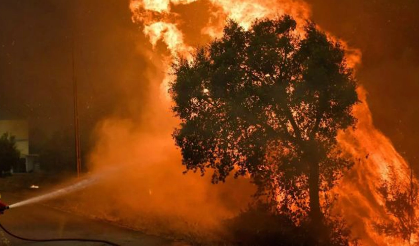 Wildfire rages in eastern Spain as temperatures rise to 30 degrees Celcius