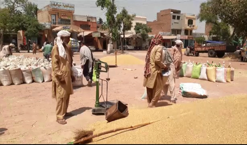 PM Shehbaz Sharif forms inquiry committee to probe matter of wheat import