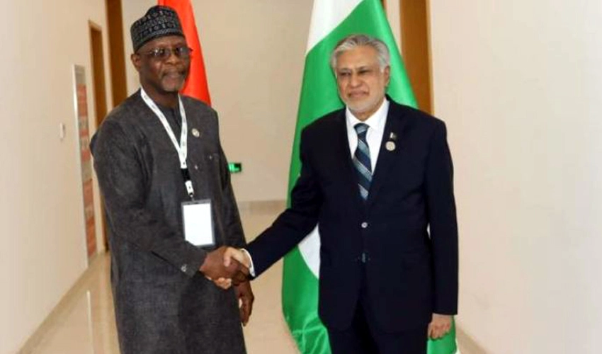 Ishaq Dar, Nigerien counterpart reaffirm commitment to strengthen bilateral economic cooperation