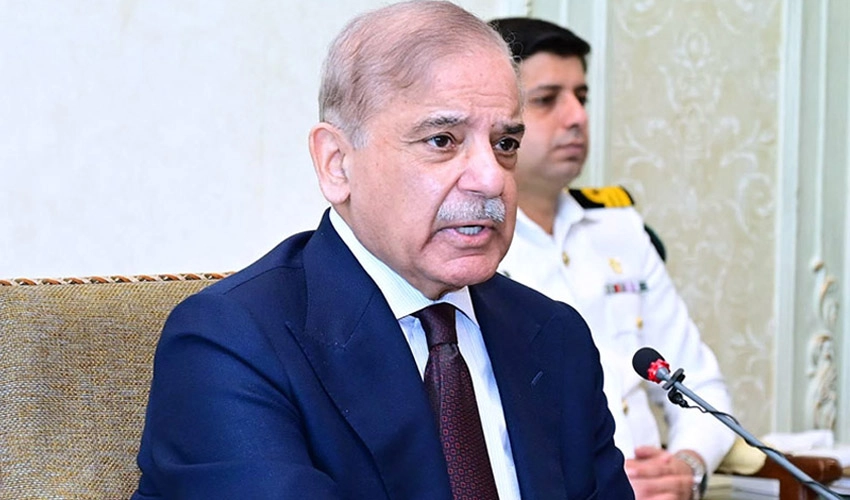 PM Shehbaz Sharif orders fair probe into wheat import in caretaker govt