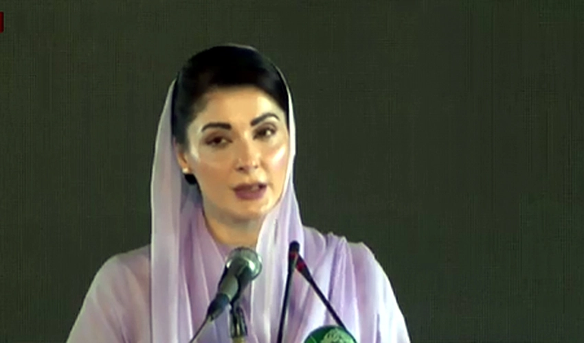 Cruelty unleashed against country by ending PML-N govt: Maryam Nawaz