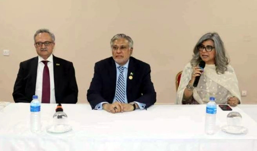 Deputy PM Ishaq Dar interacts with Pakistani community in Gambia