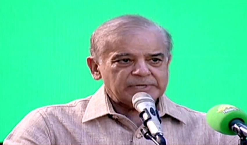 PM Shehbaz Sharif nominated as acting PML-N president