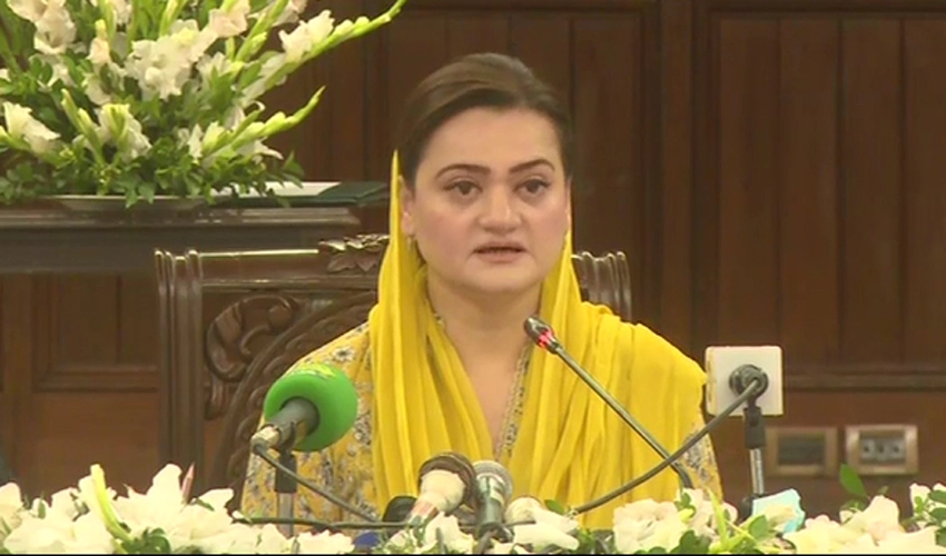 Punjab govt presented historic people-friendly budget: Marriyum Aurangzeb