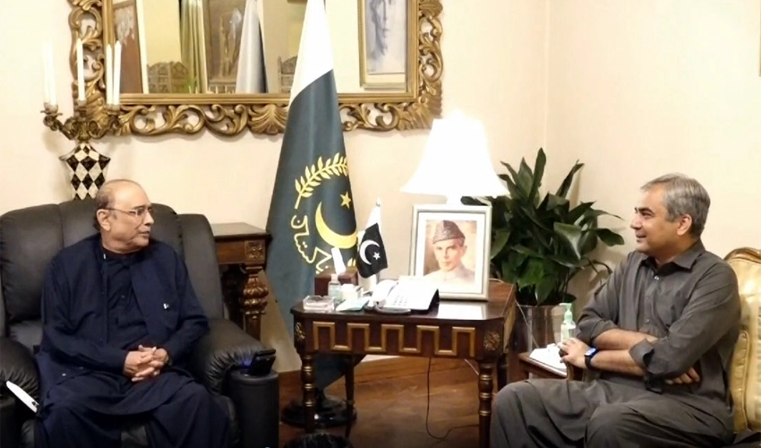 Everyone has to play his role to take Pakistan forward: President Asif Zardari