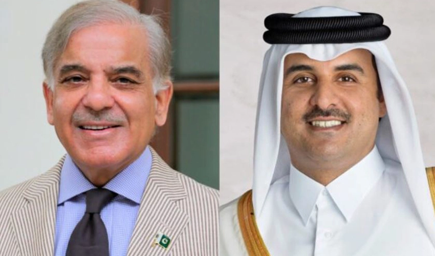 PM Shehbaz Sharif extends warm greetings to Qatar Amir on Eidul Azha