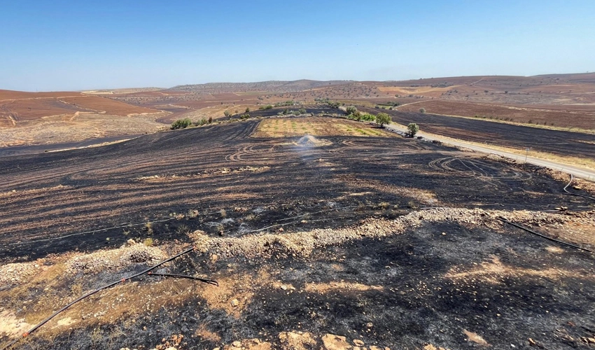 Five dead, dozens hurt in southeastern Turkey wildfire