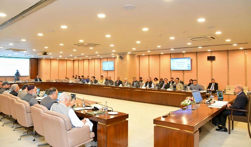 Federal cabinet approves action plan for Pak PWD’s abolition