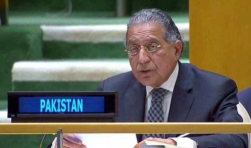 At UN, Pakistan pushes for preventing any state from dominating regional peace organizations